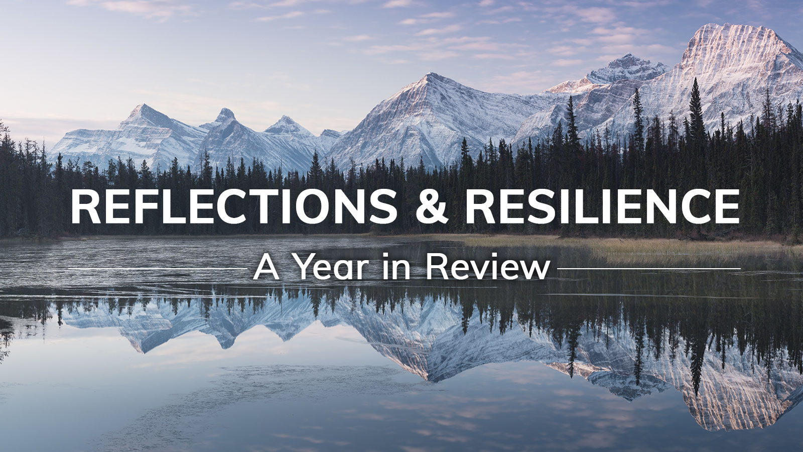 Reflections and Resilience: A Year in Review