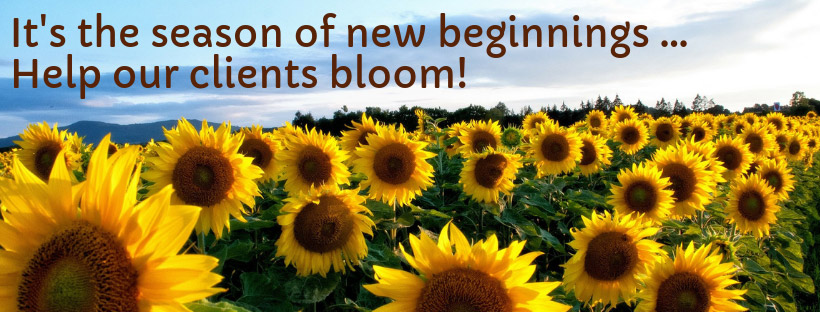 It's the season of new beginnings....